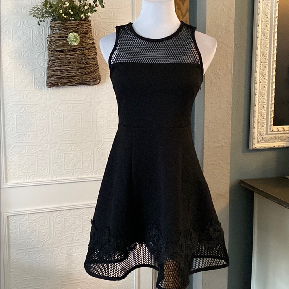 Express Black Cocktail Dress Lace